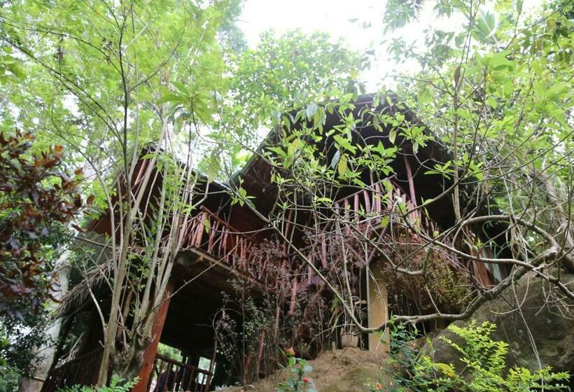 Номер Стандарт Вид на Горы, Jungle Face Inn