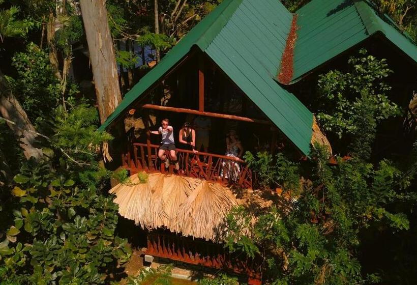 Семейный Номер Вид на Горы, Jungle Face Inn