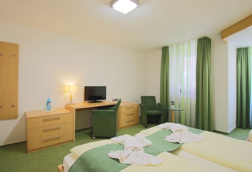 اتاق استاندارد سه نفره, Panorama Hotel Winterberg