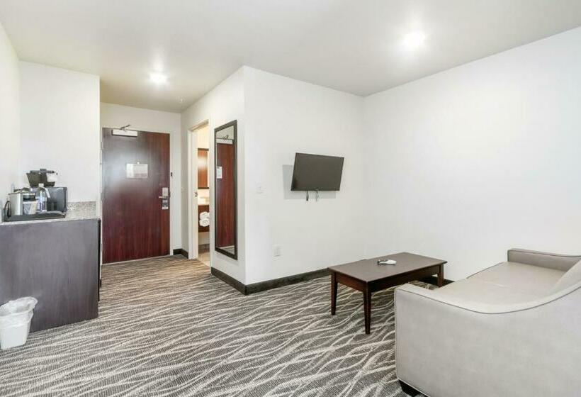 Студио Стандарт Кровать Кинг, Cobblestone Hotel & Suites   Janesville