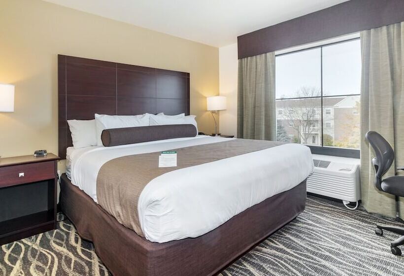 Студия Стандарт, Cobblestone Hotel & Suites   Janesville
