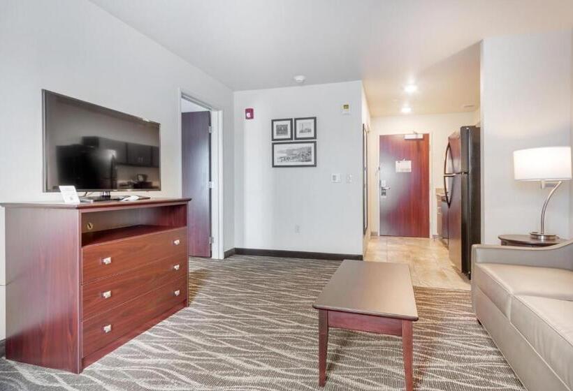 Люкс Повышенной Комфортности, Cobblestone Hotel & Suites   Janesville