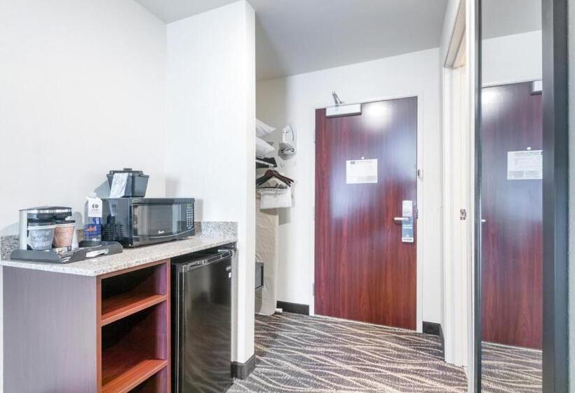 Студия Стандарт, Cobblestone Hotel & Suites   Janesville