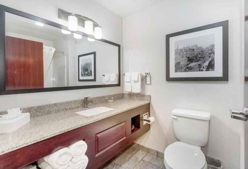 Номер Стандарт, Cobblestone Hotel & Suites   Janesville