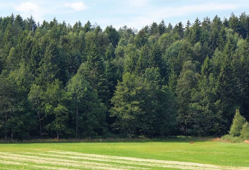 Pokój Czteroosobowy Standard, Toric Farmlodge