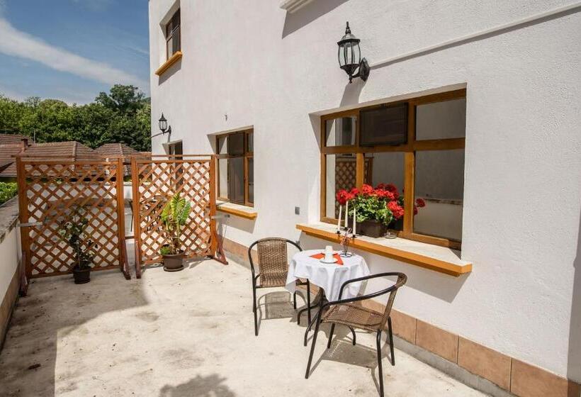 Апартаменты 1 Спальня с Балконом, Pensiunea Vila Europa