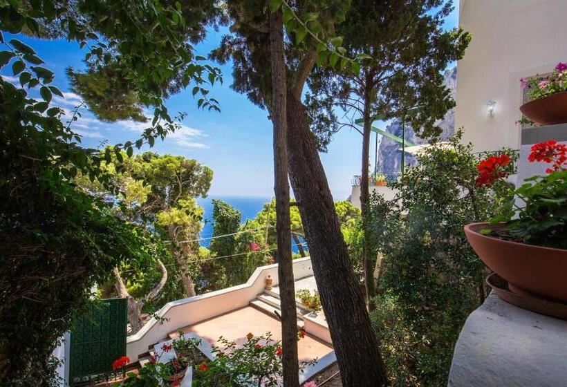 スタンダードルーム, Villa Olga Luxury Capri