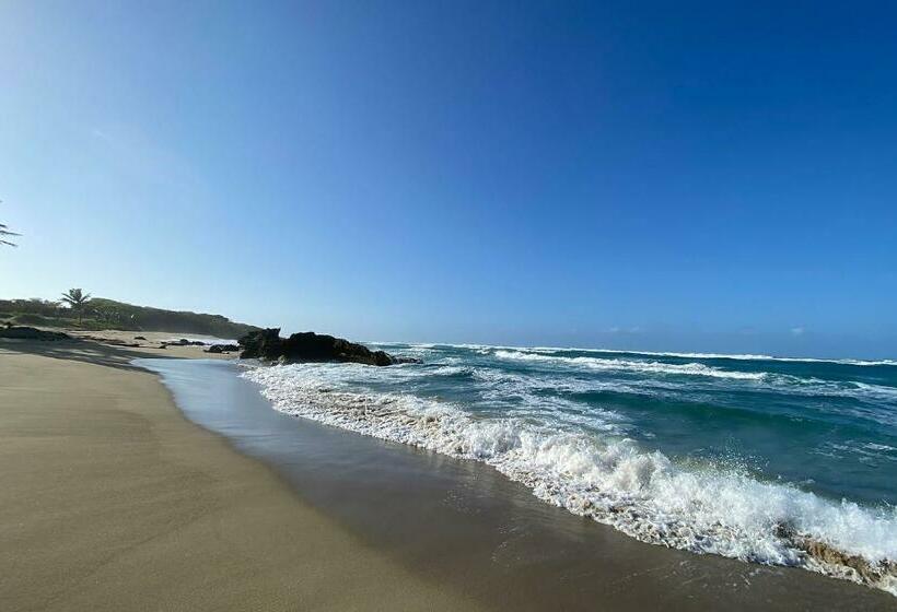 Дом 2 Спальни, Cabarete Beachfront Condos At Nanny Estate C 5