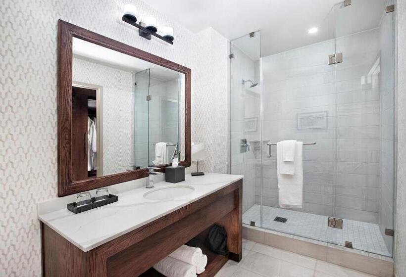 Номер Deluxe Кровать Кинг, Texas A&m Hotel And Conference Center