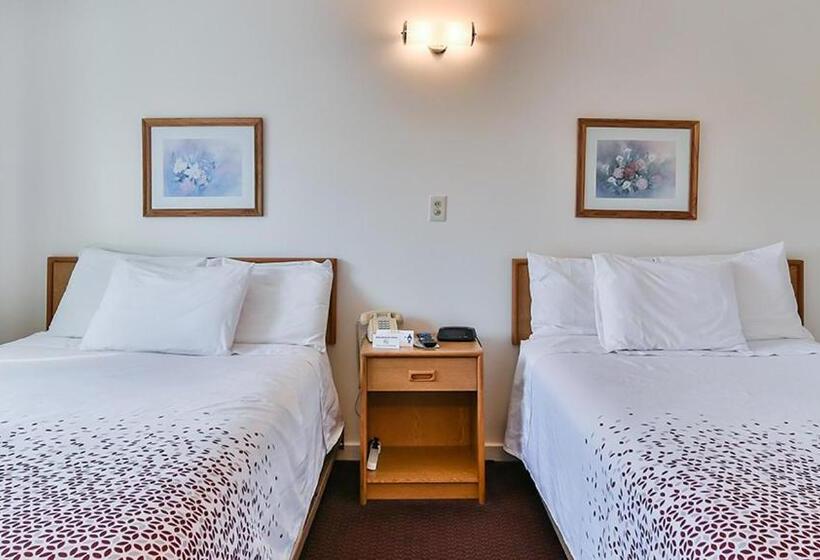 Номер Стандарт, The Saco Motel