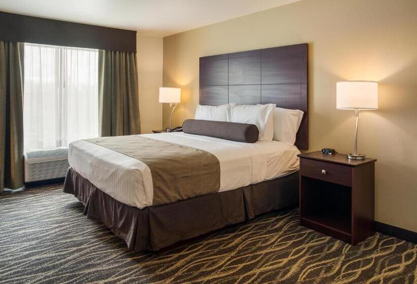 Номер Стандарт Кровать Кинг Адаптированный для Инвалидов, Cobblestone Inn And Suites Ashland