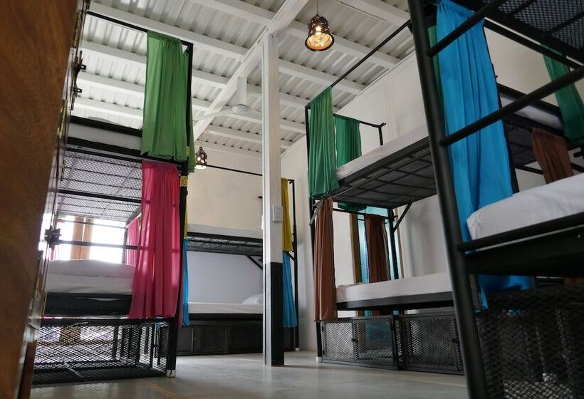 共用房间的床, Casa Oro Eco Hostel