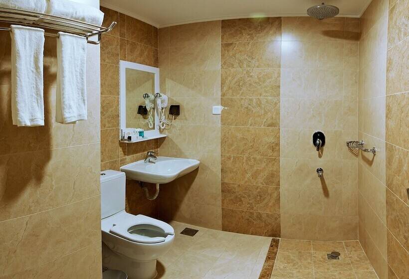 Junior Suite, Delights Inn   Green Oasis