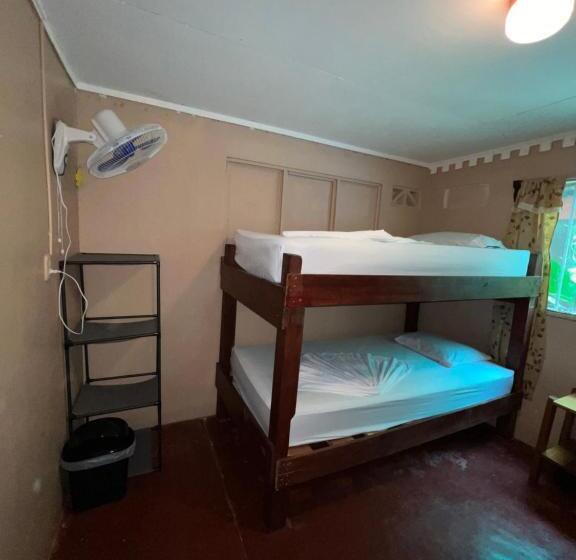 공동 객실, Pura Vida Hostel