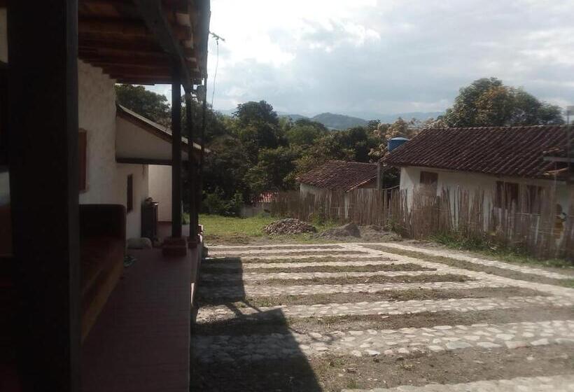 اتاق استاندارد, Casa Annunakis