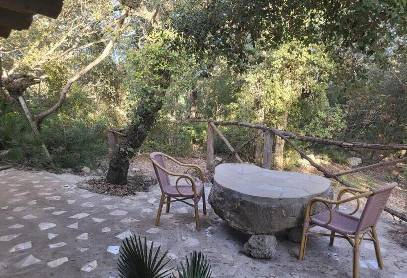בקתה סטנדרטית, Finca Sa Duaia De Dalt