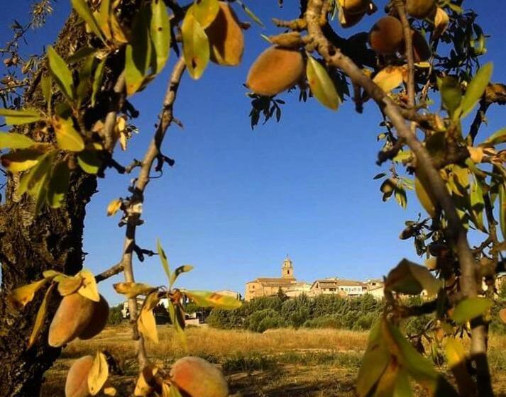 Номер Стандарт, Hostal Can Barrina