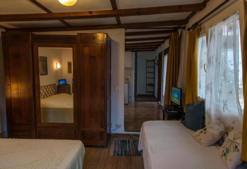 آپارتمان 1 خوابه, Casa Furrer