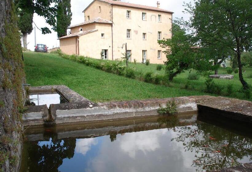 １ベッドルームアパートメント, La Fonte Carducciana