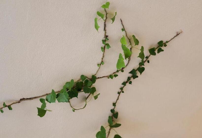 آپارتمان 1 خوابه, La Muccheria