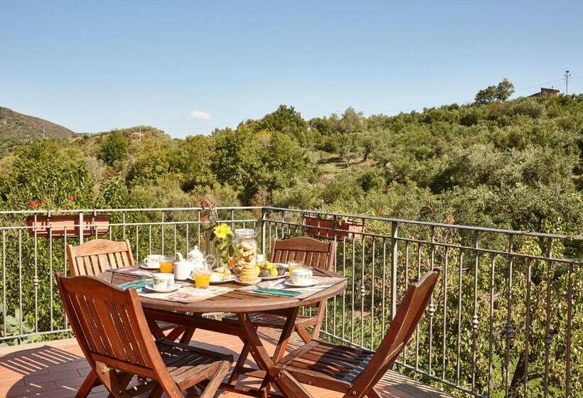 テラス付き１ベッドルームアパートメント, Agriturismo I Moresani