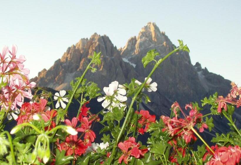 شقة غرفة واحدة ذات إطلالة, Galler Am Berg