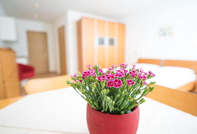 Студия Стандарт, Apartment Edelweiss