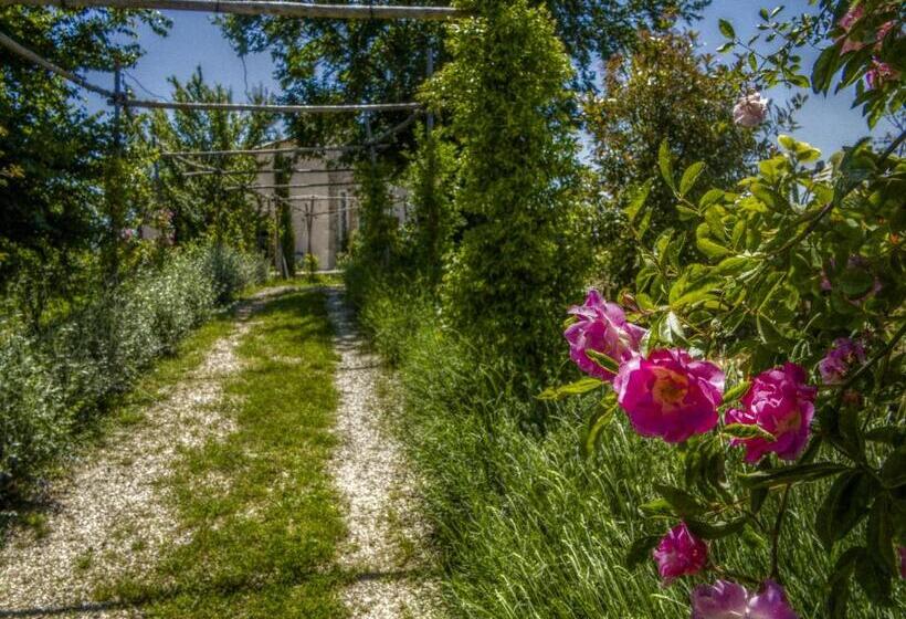 Номер Стандарт, Agriturismo Cignale