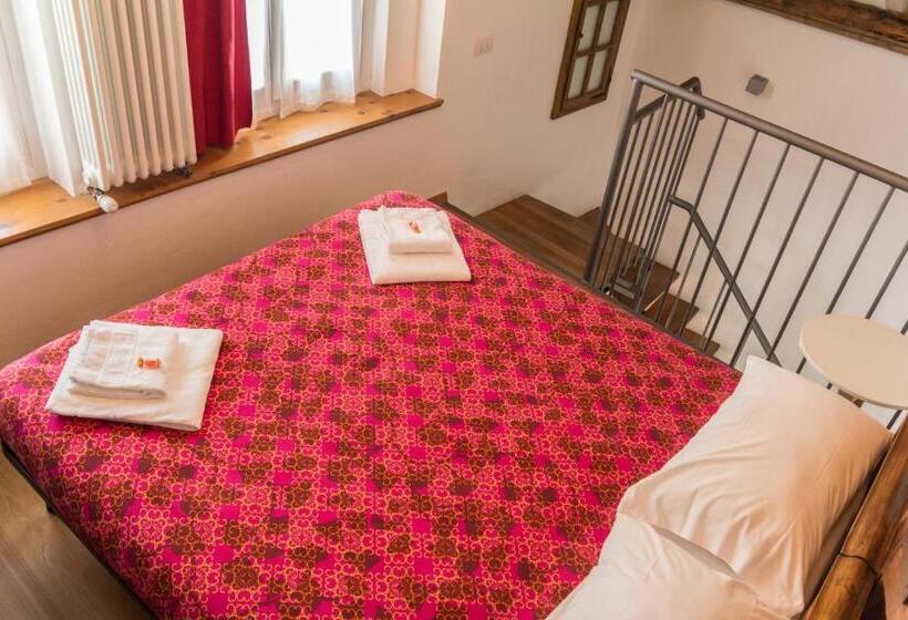 استودیوی استاندارد, La Sciora Oliva