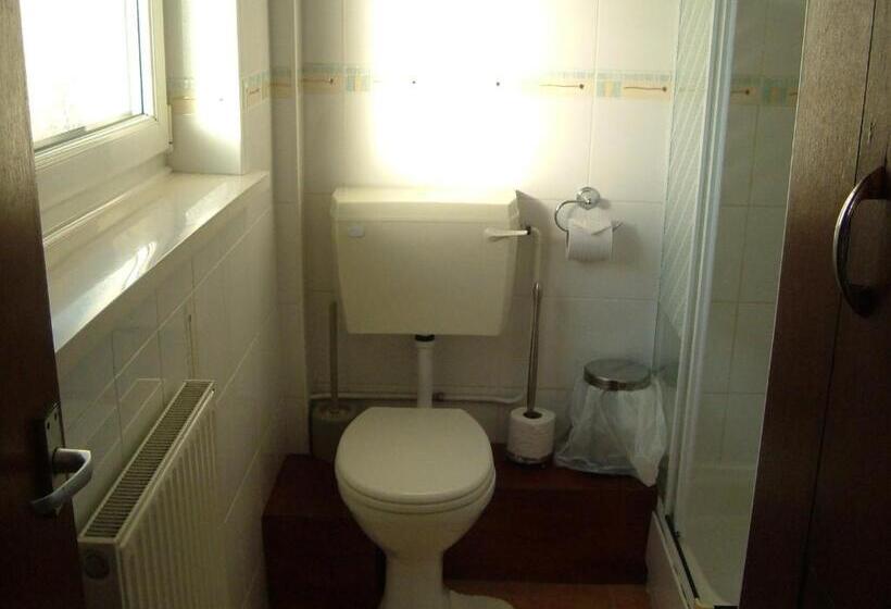 Номер Стандарт Индивидуальный, Tremains Guest House