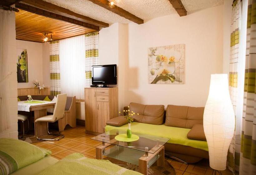 Апартаменты 1 Спальня, Pension Haus Andreas