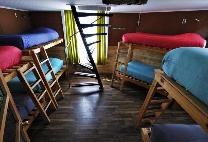 ルームシェアのワンベッド, Corner Hostel Puerto Natales