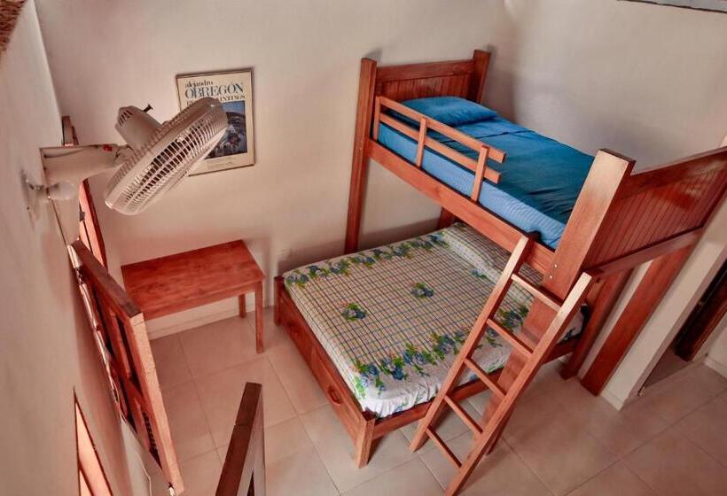 스탠다드 트리플 룸, Hostal Nibuni Palomino