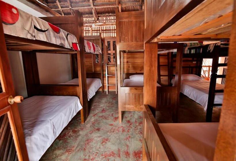 공동 객실, Hostal Nibuni Palomino