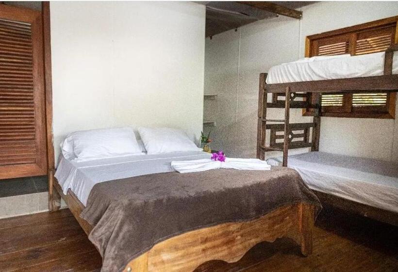 4인용 스탠다드 룸, Bao Bao Hostel