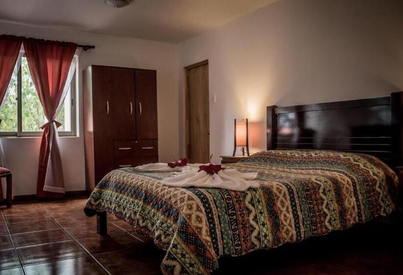 Номер Economy, Hostal Y Cabañas Aorangi