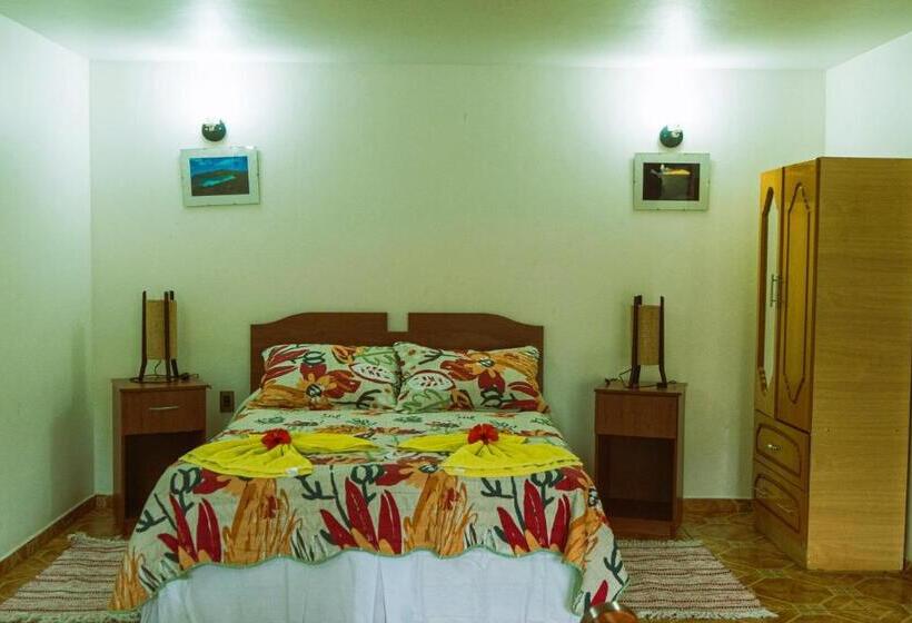 Бунгало Deluxe, Hostal Y Cabañas Aorangi