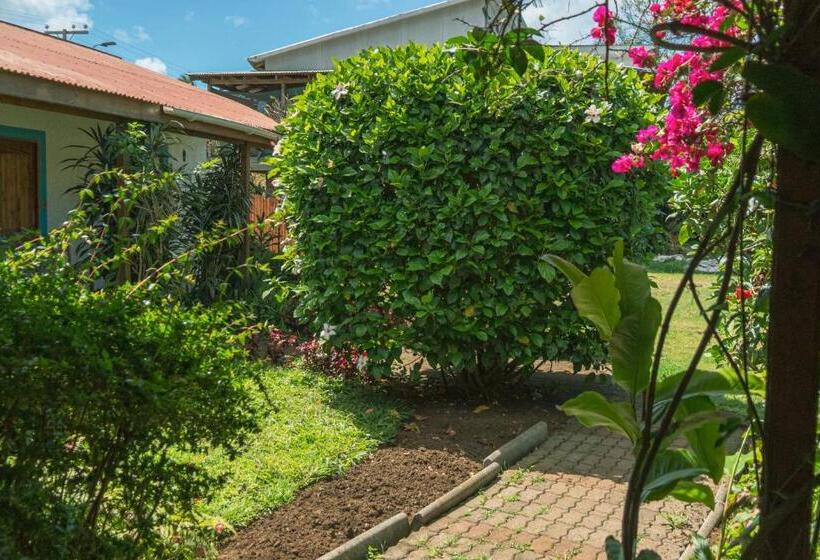 Бунгало Deluxe, Hostal Y Cabañas Aorangi