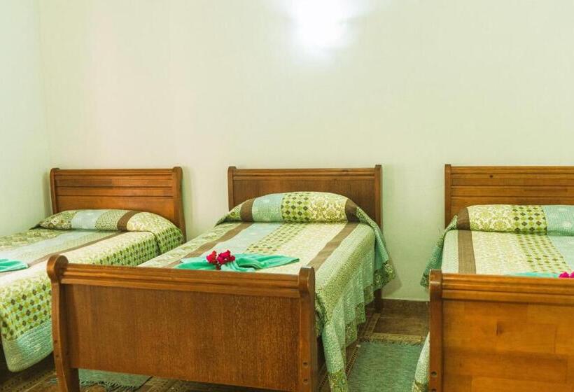 Бунгало Стандарт, Hostal Y Cabañas Aorangi