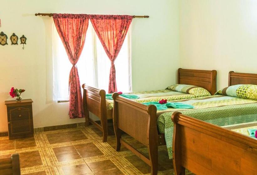 Бунгало Стандарт, Hostal Y Cabañas Aorangi