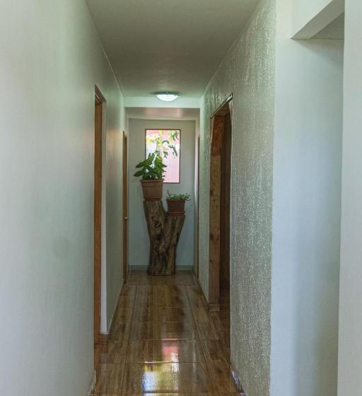 Трехместный Номер Базовый, Hostal Y Cabañas Aorangi