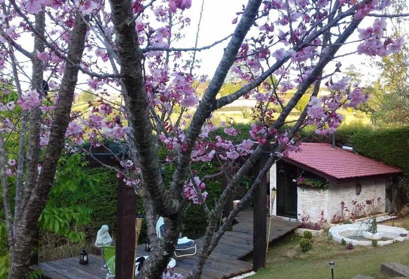 سوییت لوکس, Pousada Toca Dos Tucanos