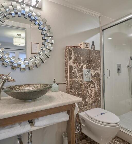 اتاق استاندارد, Houston Towers, Downtown Med Ctr, Nrg, Adults Only