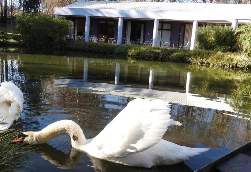 اتاق استاندارد با چشم‌انداز باغ, Willow Place Guest House