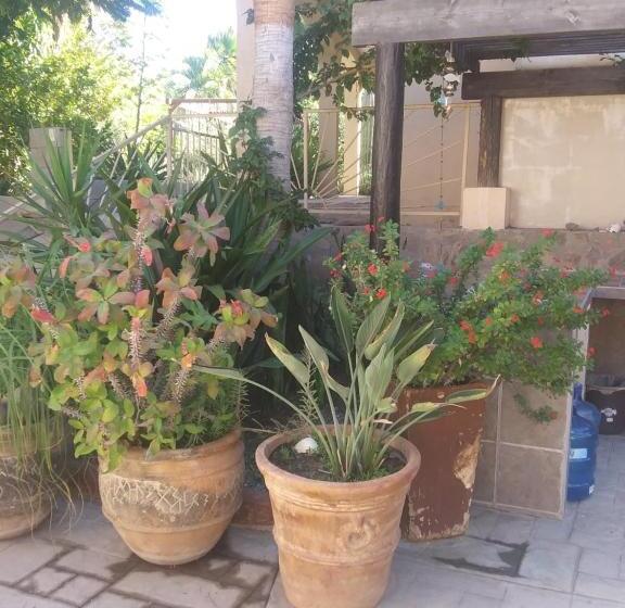 プールビュースイート, Coco Cabañas And Casitas Vacation Rentals