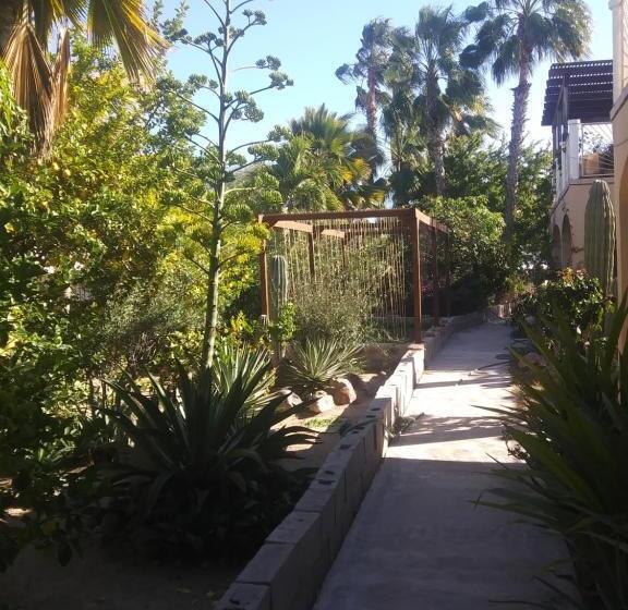 プールビュースイート, Coco Cabañas And Casitas Vacation Rentals