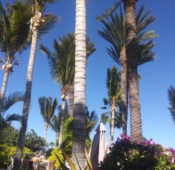 ２ベッドルームアパートメント, Coco Cabañas And Casitas Vacation Rentals