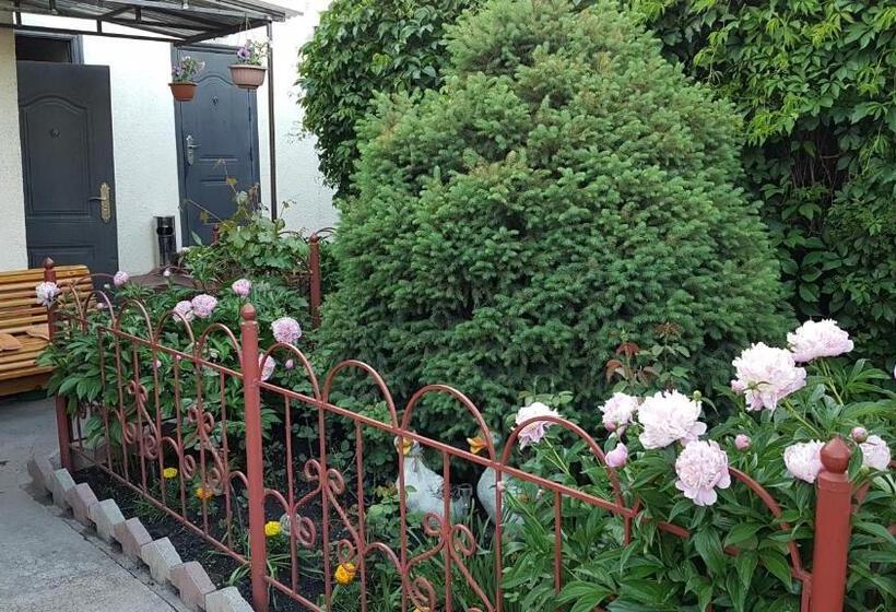 اتاق اکونومی, Guest House Domashniy Uyut