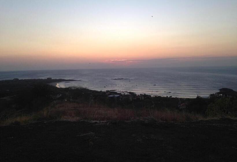 수피리어 스위트, Tamarindo Sunshine