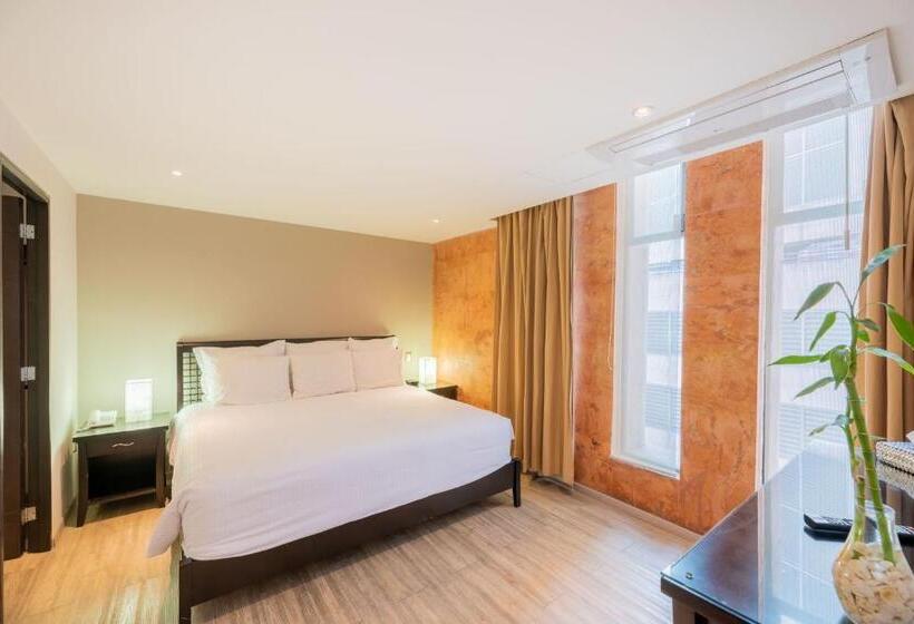 ２ベッドルームアパートメント, Grand Chapultepec Residencial